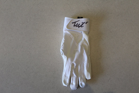 2025 Logan Wilson Celebrity Softball Game Autographed Bats and Footballs